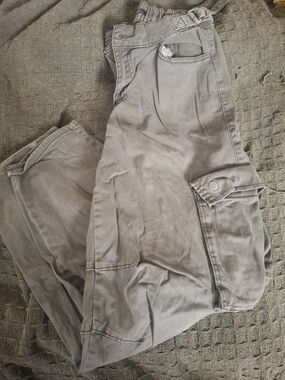 wild fable Men's Light Gray Cargo Pants - Utility Style